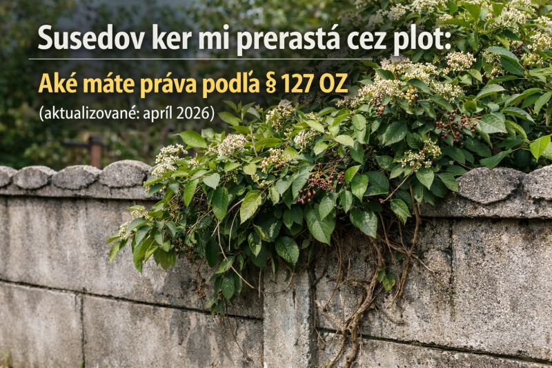 plot a ker cez tento plot prerastá