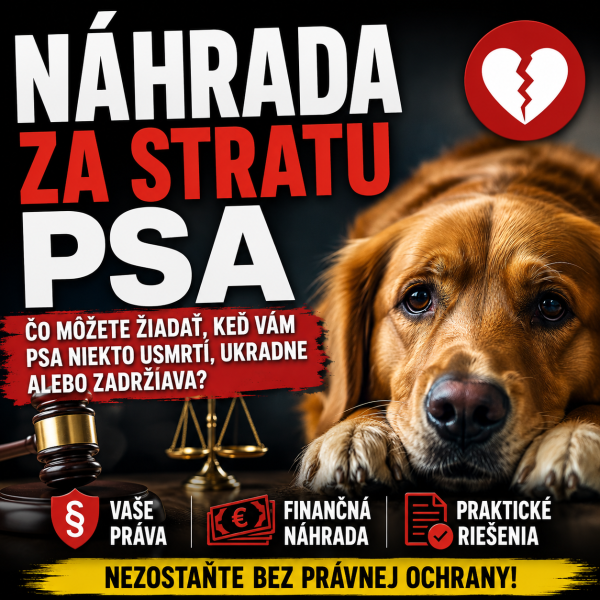 pes na obrazku